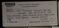 Image Associated With the Occurence